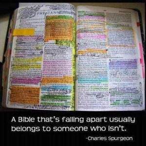 3fede214121906f2f03186a50e80ae67